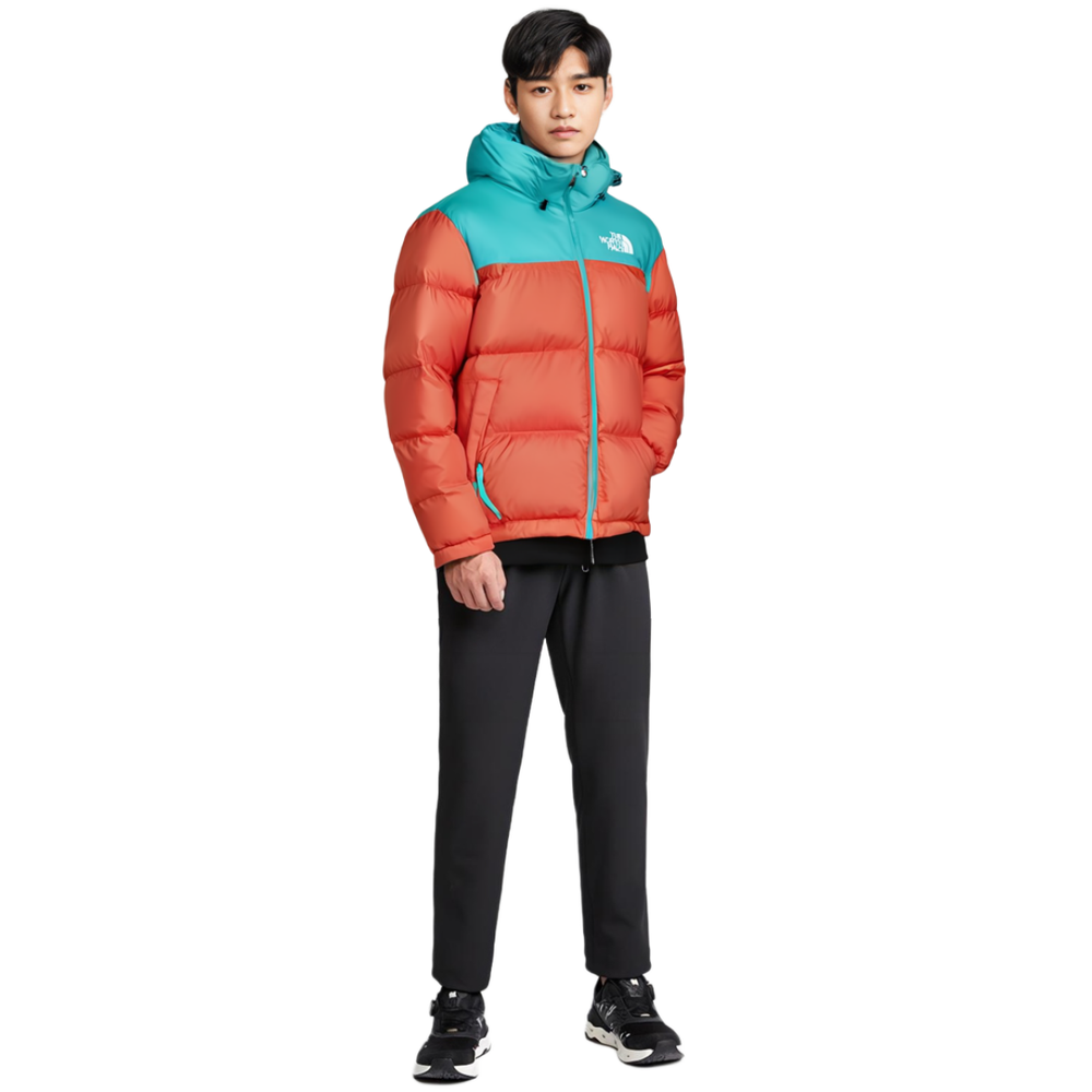 THE NORTH FACE 1996 Retro Nuptse 700
