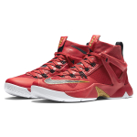 Nike Ambassador 8