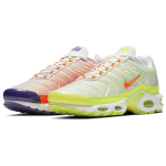 Nike Air Max Plus TPU