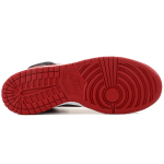 Nike Dunk SB Premium SB RESN 2009
