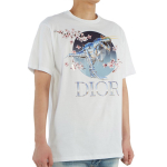 DIOR DIOR T