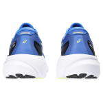 Asics Gel-Kayano 30
