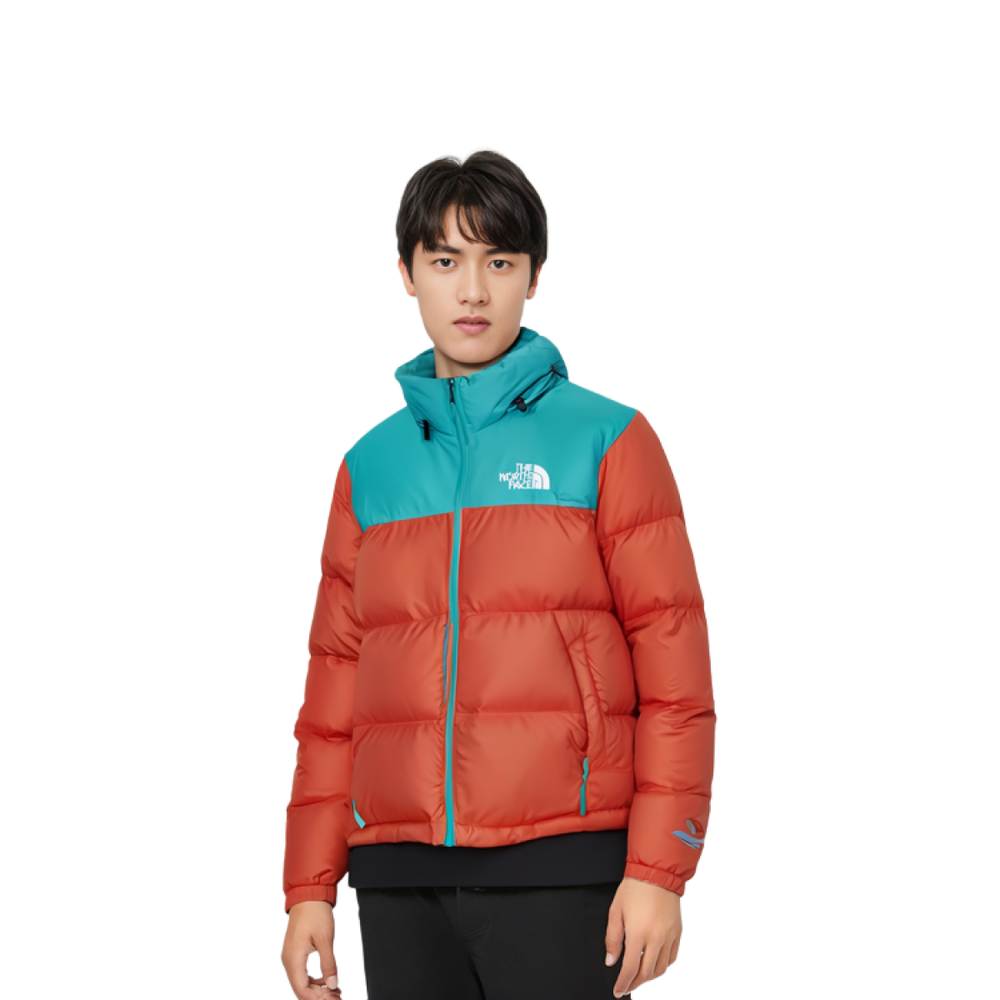 THE NORTH FACE 1996 Retro Nuptse 700