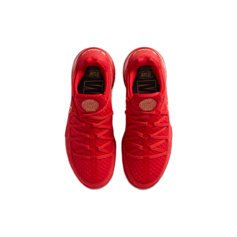 TITAN x Nike Lebron 17