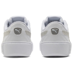 PUMA Mash Platform