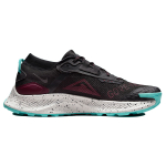 Nike Pegasus Trail 3 Gore-Tex