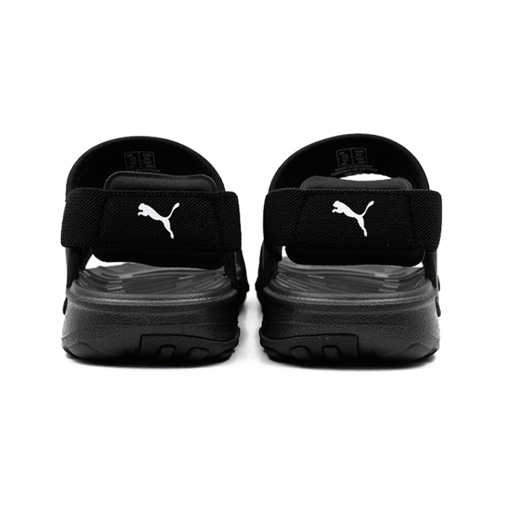 Puma Summer Cat