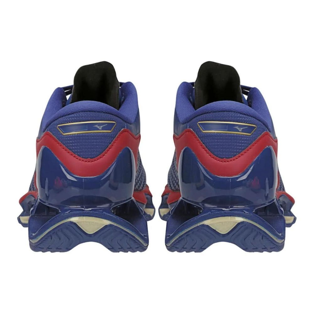 Mizuno Pro 12