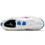 Mizuno Cyclone Speed