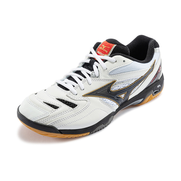 Mizuno Pro Pro