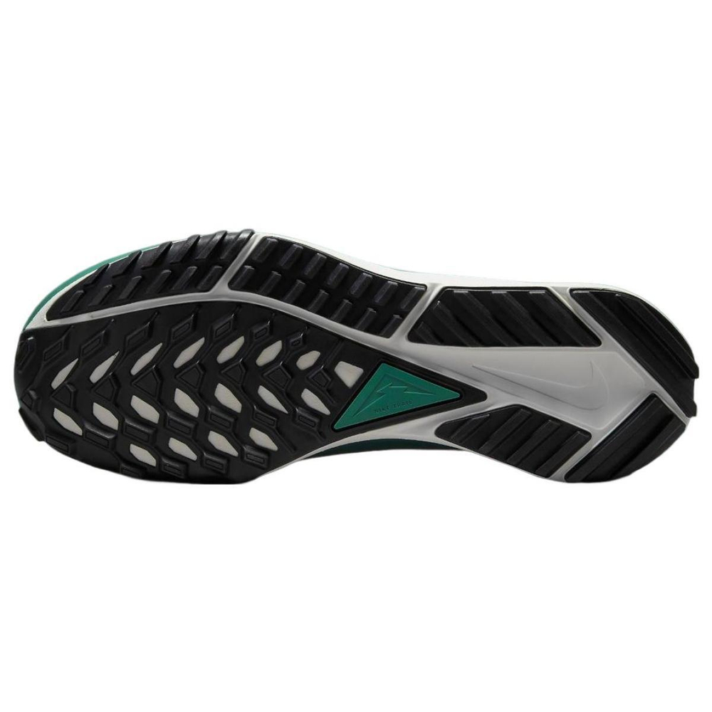 Nike Pegasus Trail 4 Gore-Tex