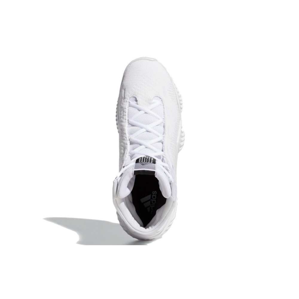 Adidas Pro Bounce 2018