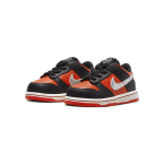 Nike Dunk TDE
