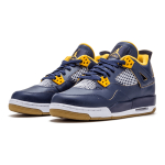 Jordan Air Jordan 4 Retro Dunk From Above
