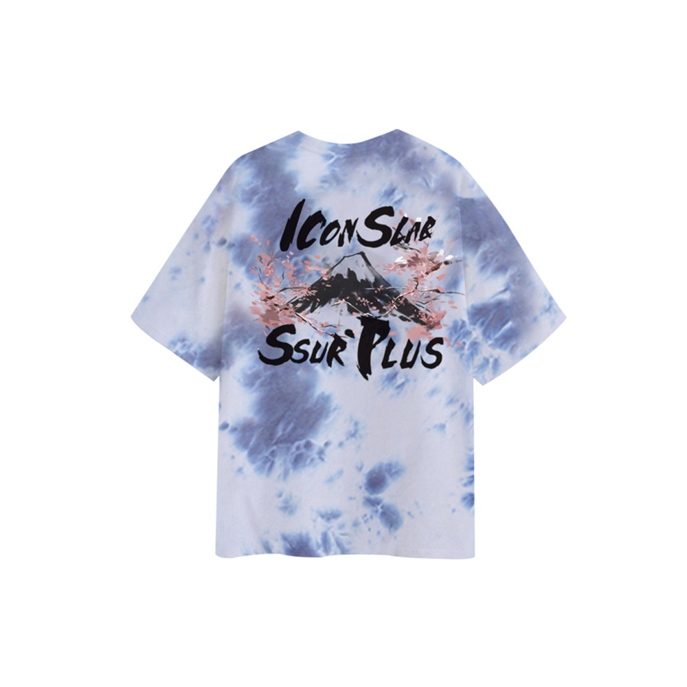 ICONS Lab T