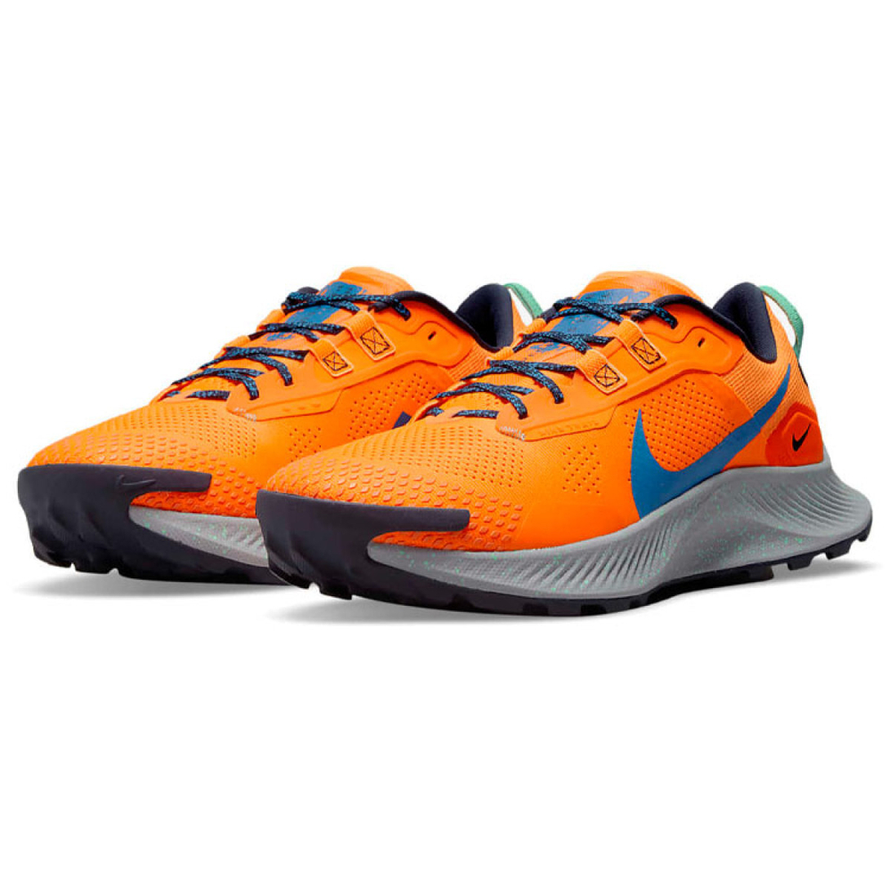 Nike Pegasus Trail 3