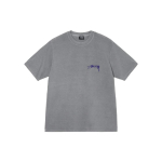 Stussy Arachnid Tee Pigment Dyed T