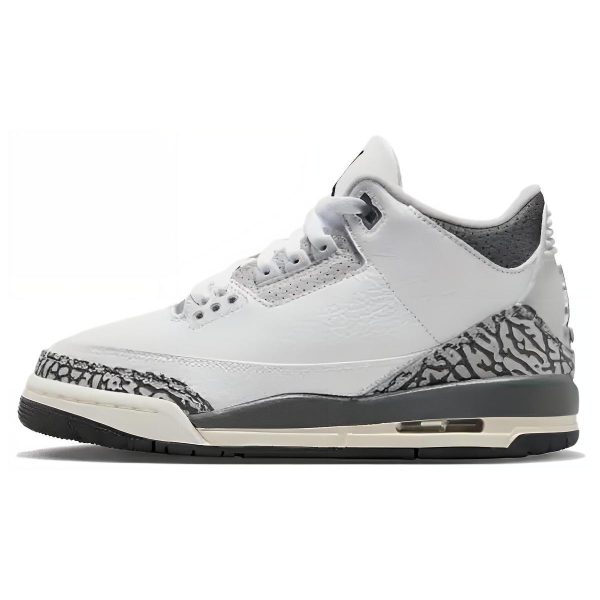 Jordan Air Jordan 3 Retro Hide N Sneak
