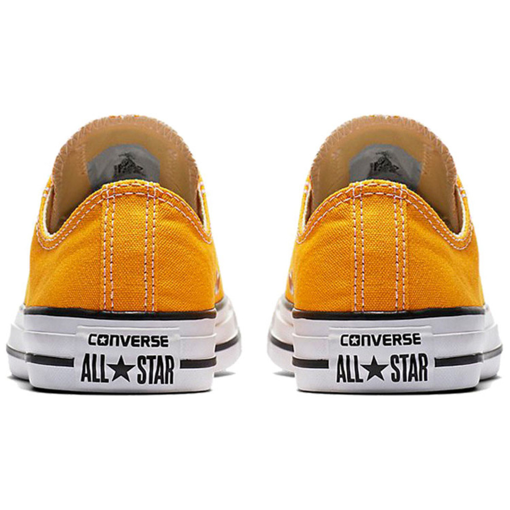 Converse Chuck Taylor All Star Seasonal Color Low Top