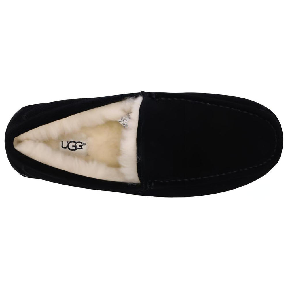 UGG Ascot