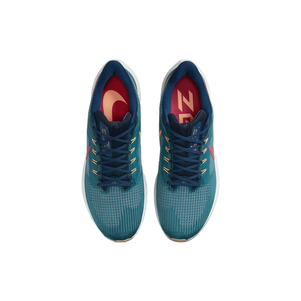 Nike Air Zoom Pegasus 39