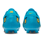 Nike Mercurial Vapor 14 14 Pro HG（ ）