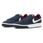 Nike SB Adversary
