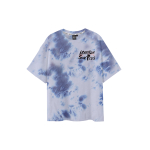 ICONS Lab T