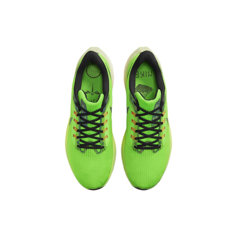 Nike Air Zoom Pegasus 39