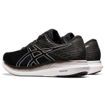 Asics EvoRide 2