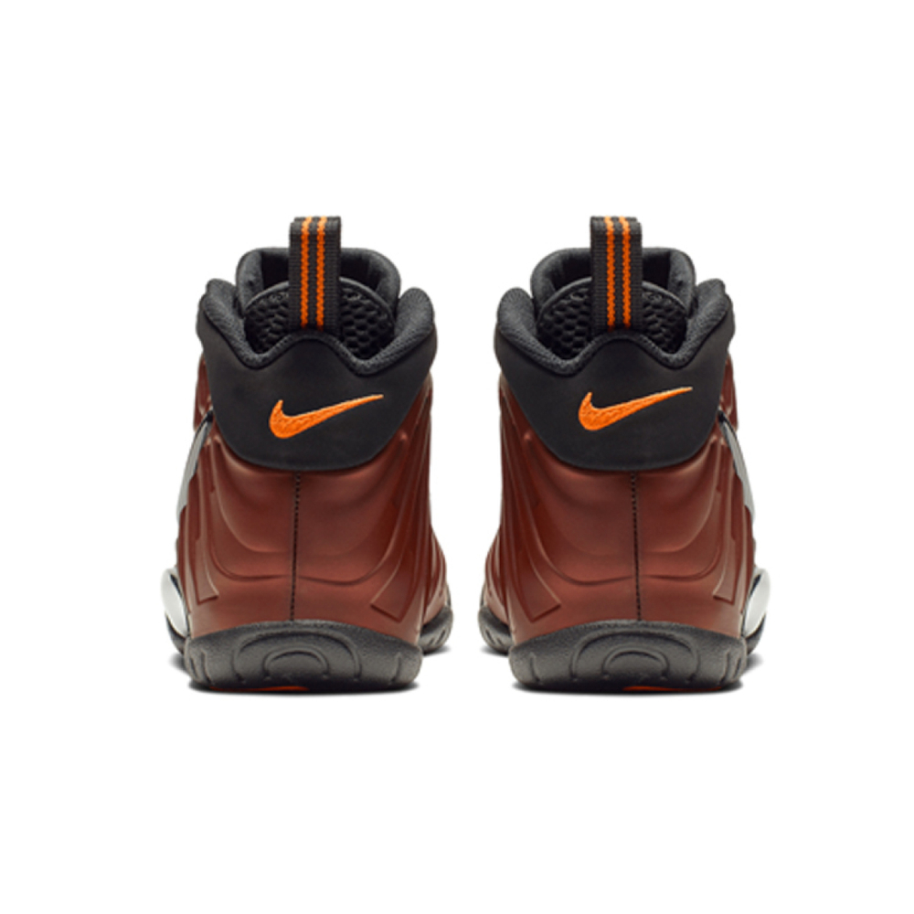 Nike Foamposite Pro Color Shift