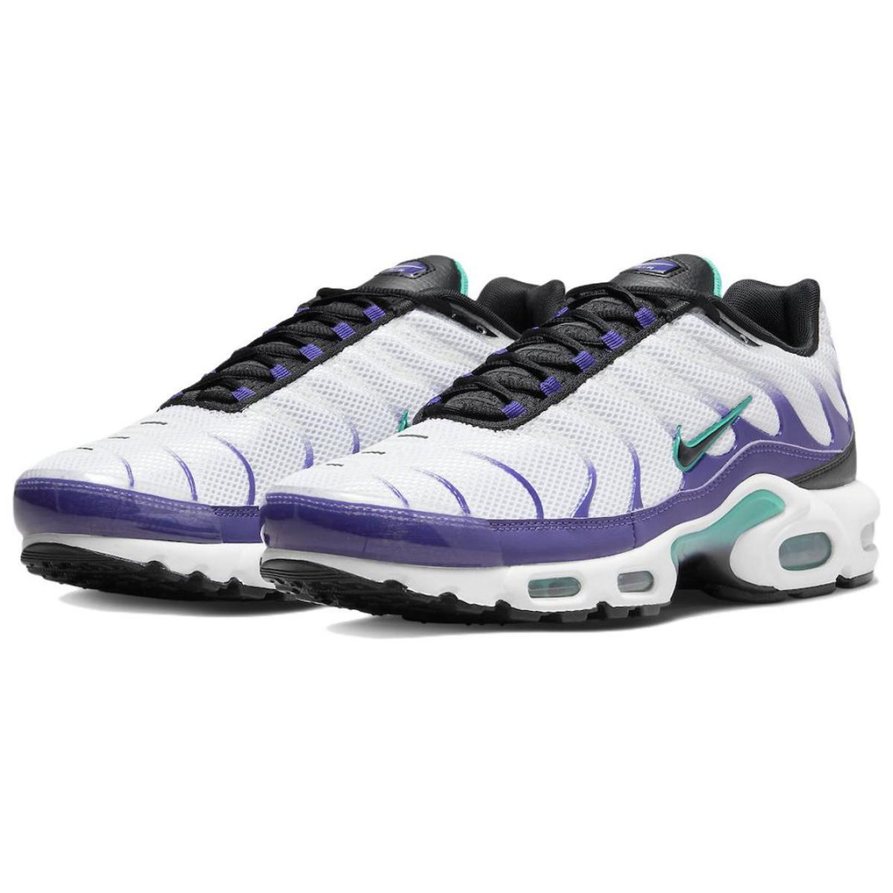 Nike Air Max Plus "Grape"