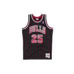 Mitchell & Ness SW NBA 95-96 25