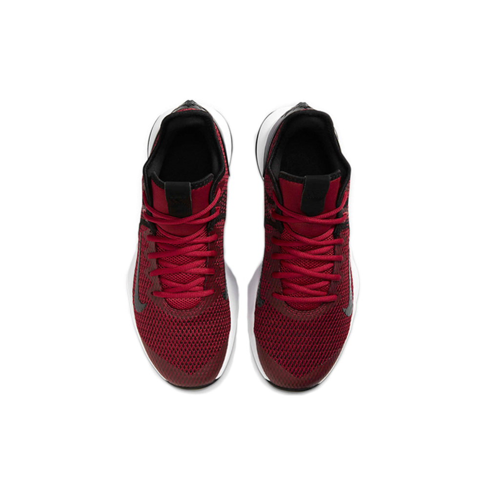 Nike Witness 4 Lebron EP