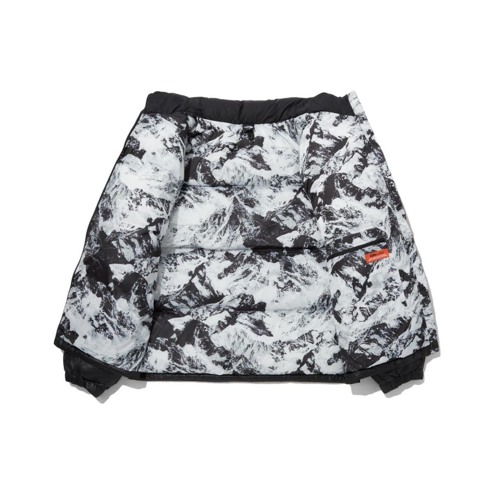 /THE NORTH FACE FW23 Nuptse ON BALL
