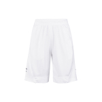 Jordan Air Rise Striped Triangle Logo