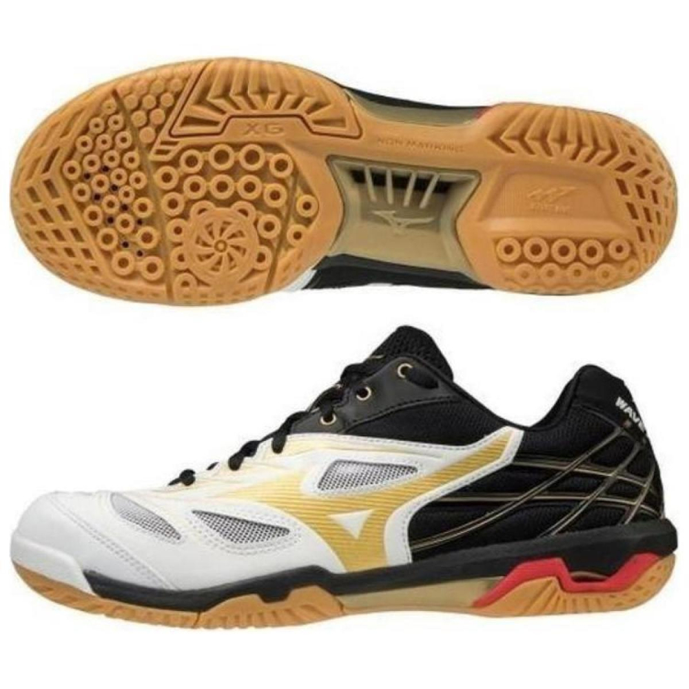 Mizuno Fang