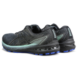 Asics GT-2000 10