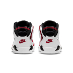 Jordan Air Jordan 6