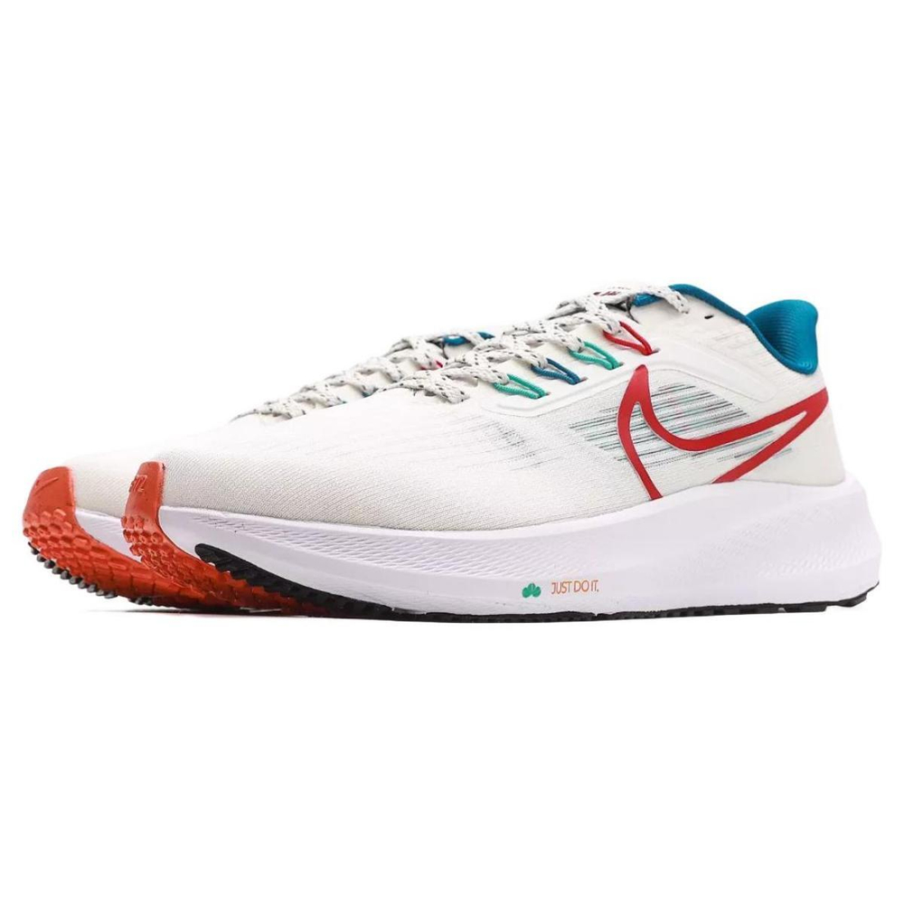 Nike Air Zoom Pegasus 39