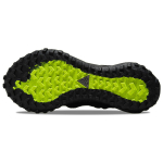 Nike ACG Mountain Fly Low GTX SE