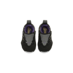 Nike Lebron 17