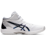 Asics Gel-Hoop V14