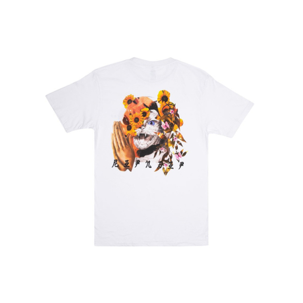 RIPNDIP T