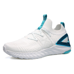 1.0 Plus