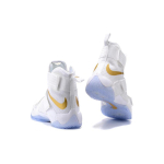 Nike zoom soldier 10 LeBron Gold Medal