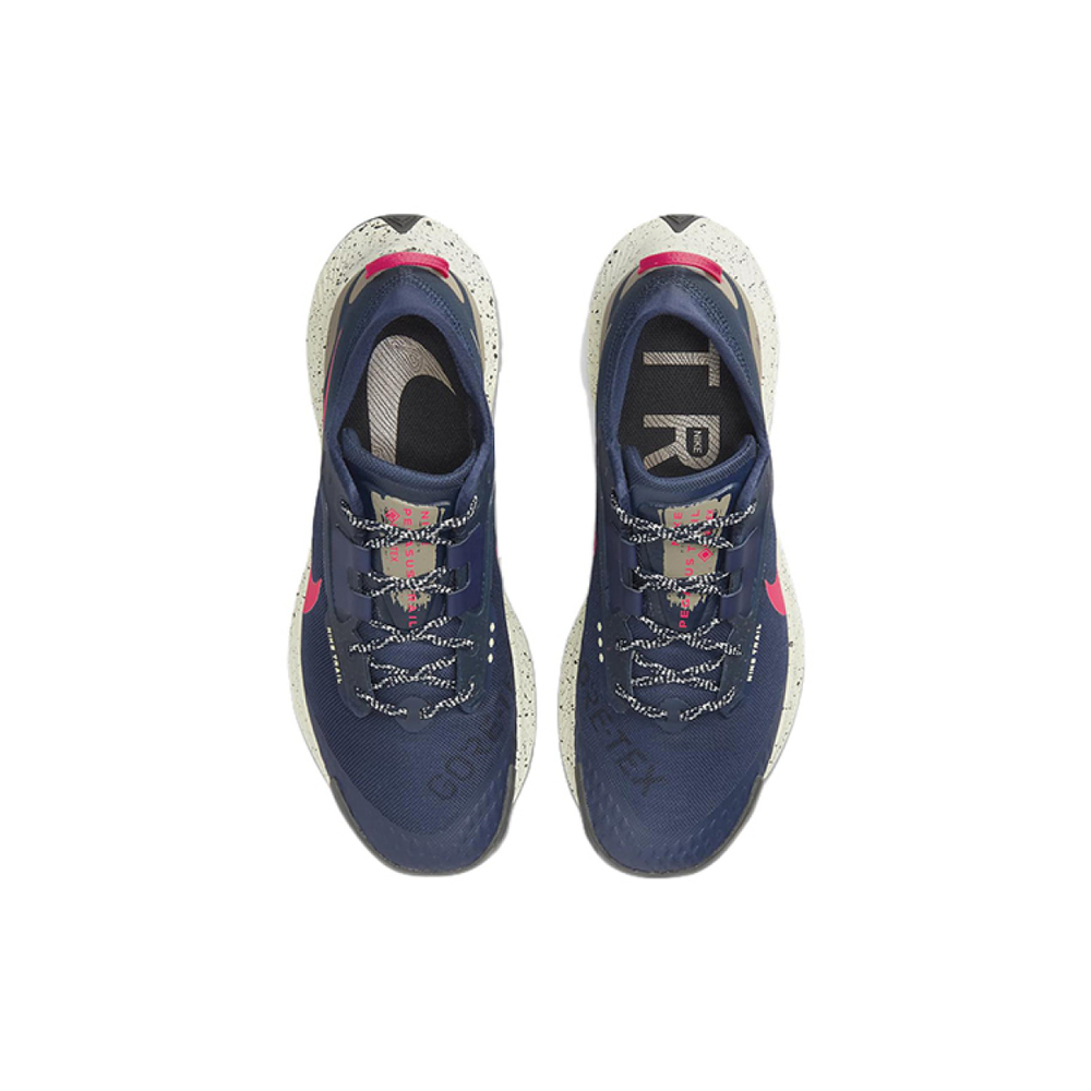 Nike Pegasus Trail 3 gtx