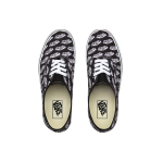 Vans Authentic Blur Boards