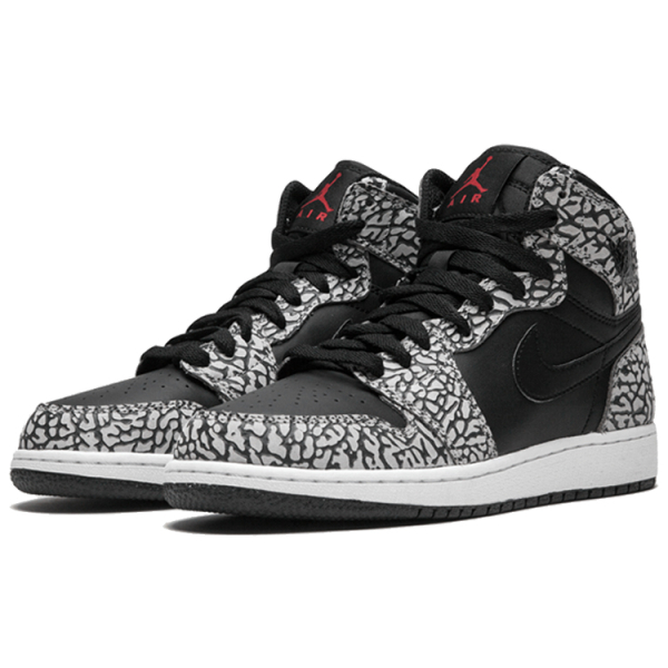 Jordan Air Jordan 1 Retro GS