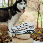 SALOMON XT-6 TPU